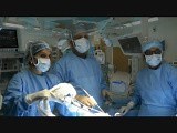 Laparoscopic Orchiectomy Combined with Hernia Repair • Video • MEDtube.net