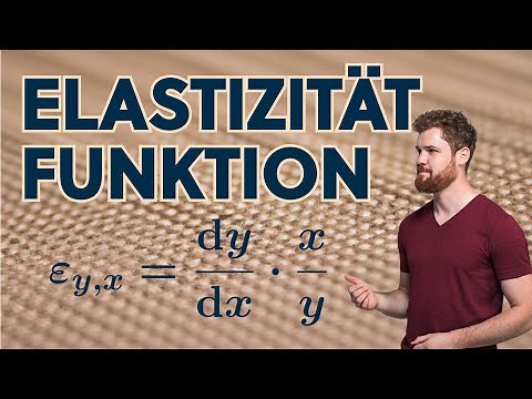 Elastizität einer Funktion + BEISPIEL Preiselastizität der Nachfrage (Wirtschaft)