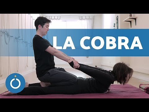 BACK STRETCH - Back exercises: THE COBRA