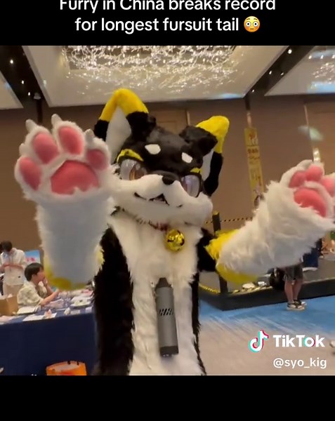 The tail is so long it takes three people to carry it, wow!‎ ‎ ⭐️ When shopping for fursuits and accessories at @Dokidoki Furrystudio, use code