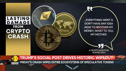 In Friday’s historic crypto crash, of the $380 billion wiped out, about $131 billion came from the altcoin ecosystem. It’s now unclear if investors will return after the altcoin market collapsed dramatically late last week. Shivan Chanana has more. | WION