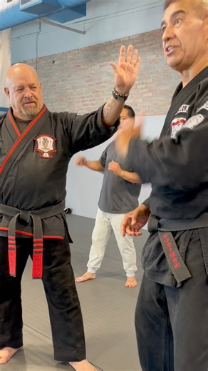 1.5K views · 1K reactions | It’s a practice drill working mechanics: erect posture, stable stance, speed, targets, position, accuracy, body rotation, rhythmic breathing, settling, power regulation, etc. #Kenpo #KenpoKarate #MartialArts #KenpoPrinciples #MartialArtsTraining #Karate #FlowInMotion #SelfDefense | Larry Kongaika Kenpo Ikka | Facebook