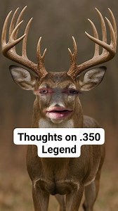 132K views · 1K reactions | Thoughts on a .350 Legend 歷樂 #hunting #whitetail | Matt's Adventures | Facebook