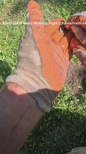 RARE 90% Silver Dime Unearthed | Metal Detecting Score