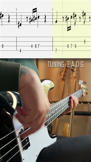 💡 Best bass lines for beginners: Red Hot Chili Peppers – Snow (Hey Oh) #bassist