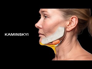 Neck Anatomy. Understanding Neck Aging and Contour Changes ⭕️ KAMINSKYI