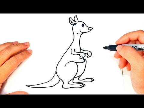 How to draw a Kangaroo | Kangaroo Easy Draw Tutorial