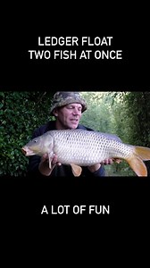 Ledger float: Two fish at once. This is a great method of fishing to stay mobile and is a lot of visual fun too 🎣🤩. #carpfishing #fishing #angling #carpangling #carpy #carplife #commoncarp #mirrorcarp #fish #carpfish #carpwatch #karpfen #karpfenangeln #peche #carpe #carpiste #photography #photographer #nature #petecastlefish | Pete Castle Fishing