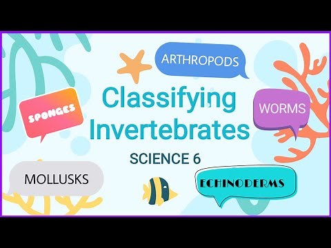 Science 6 Quarter 2: Classification of Invertebrates