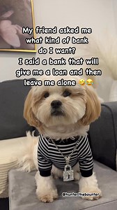 I want this type of bank 🏦🤣😂 #Bank #bankhumor #bankloan #funnyreels #funny #funnyvideos #memes #humor #COMEDY #jokes #fyp #goodvibes #lol #hunterthebounter | Hunter the Bounter