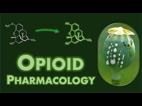Opioid Pharmacology: Basics, General Class Effects, and Specific Drug Differences