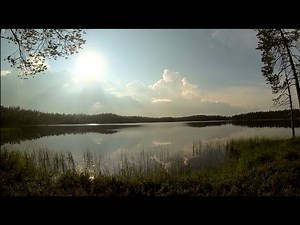 Landscape in Finland 2013- Taivalkoski Kylmäluoma Senderismo caminata vídeo