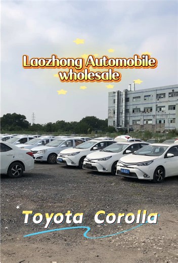Exploring Used Cars in Guangzhou: A Local Perspective