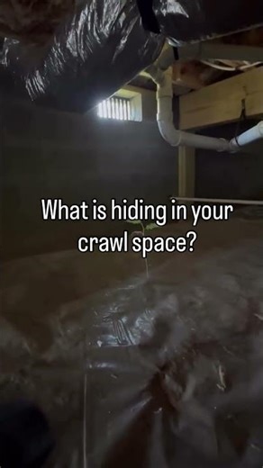 Your crawl space might be hiding more than just pipes and insulation