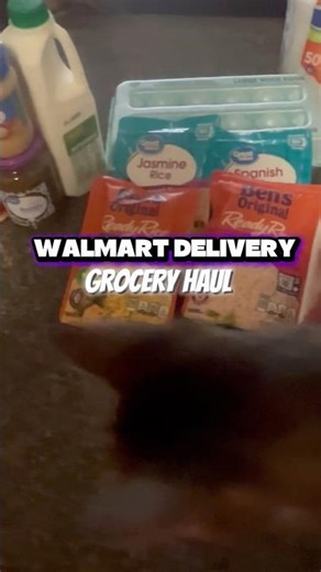 Walmart Delivery Grocery Haul • #groceryhaul #catvideos #shorts #walmart #explorepage #haulvideo