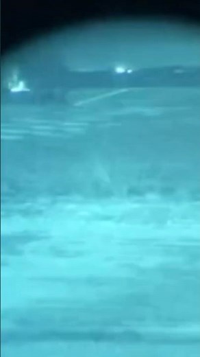 Night Vision Goggles and Thermal Sights #night #vision #thermal #sightseeing #hunting #tutorial #usa