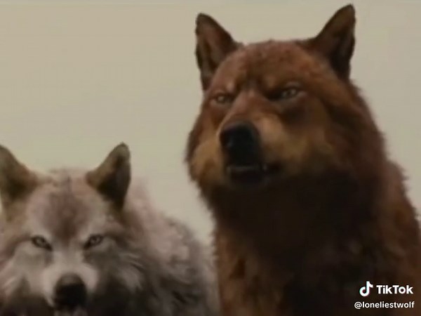 Sam & Leah Twilight Edit - Wolf Pack Love Story