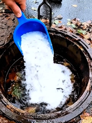 Life Lessons for Motivation and Growth