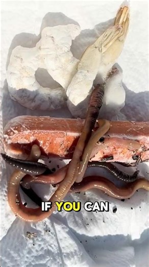 How To Catch Catfish In A Pond! 🎣🐟#shorts #fishing #catfish