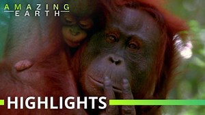 Amazing Earth: The rise of the new world!