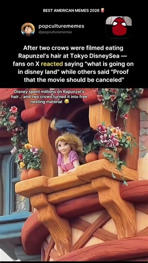 these "hair-eating" crows at disneysea go viral 🏰🐦 #disney