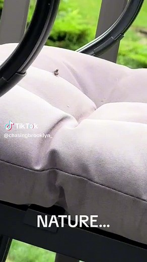 Brooklynchase (@chasingbroooklyn)’s videos with original sound - Brooklynchase