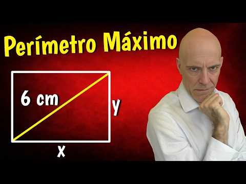 Which rectangle has the largest perimeter?