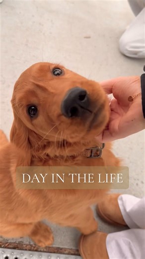 is the algorithm fixed yet 🤞🤞 | Spend The Day With Me