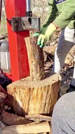 Vertical Log Splitter