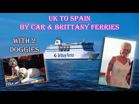 Journey from UK to Spain by Car & Brittany Ferries with 2 Doggies