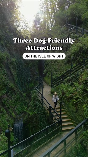 THREE Dog-friendly Attractions to add to your Isle of Wight Itinerary.🐶🐾⁣ ⁣⁣ 📌 Shanklin Chine, Farringford Estate & National Trust Isle of Wight’s Bembridge Windmill*⁣ ℹ️ More dog-friendly ideas: https://bit.ly/DogFriendlyVIOW * Dogs on leads welcome within the grounds of the Windmill but only assistance dogs are permitted within the windmill (ground floor only). There are tie points within the grounds, where you can keep your four-legged friend safe while you visit inside of the mill.⁣ ⁣⁣⁣⁣⁣