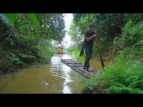 I Break into the jungle at midnight. Harvest great loot - Forest life skills DT