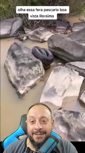 Sucuri Gigante #animais #biólogohenrique