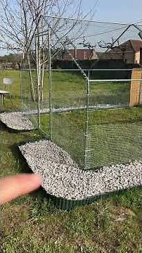 Building a chicken coop from scratch | my country house #macaenelcampo #garden #homesteading