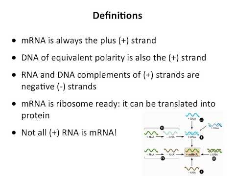 The Baltimore scheme
