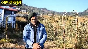 36K views · 130 shares | M-9 Rootstock performance on 8500 ft |Mr. Amit Dogra| Dasholi Marawag | The Orchard Bloom | Facebook