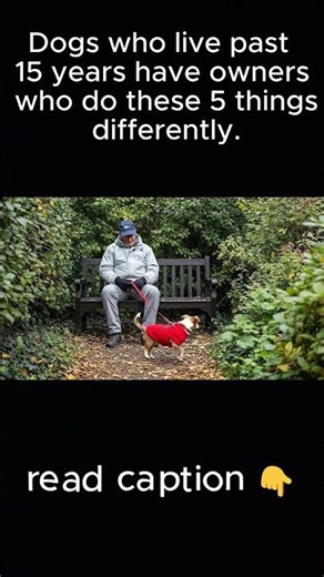 Read the description