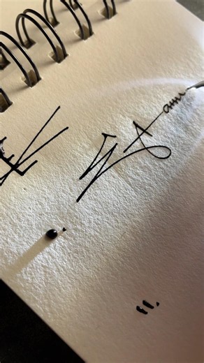 How to sign the letter E? #video #signature #calligraphy