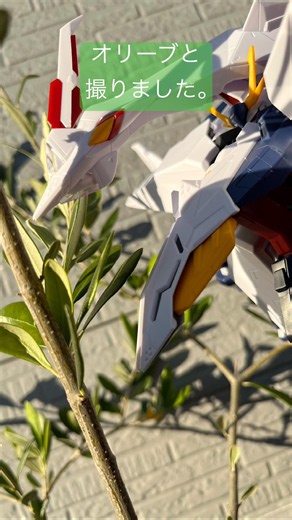 本物の植物とガンプラで写真を撮ってみた！30 #ショート #gundam #gunpla #ガンダム #ガンプラhg