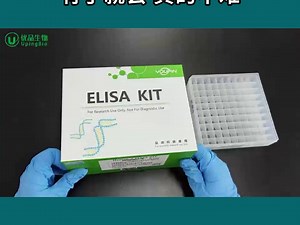 有手就会！ELISA试剂盒操作步骤详解！.mp4