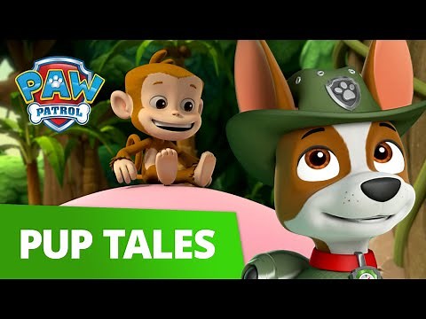 PAW Patrol - Pups Save the Bubble Monkeys! - Rescue Episode - PAW Patrol Official & Friends!