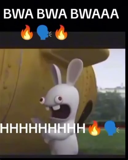 Bwaaaaaah Moments from RABBIDS
