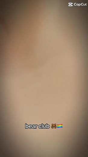 Papa Bear: Celebrating LGBTQ Bear Culture