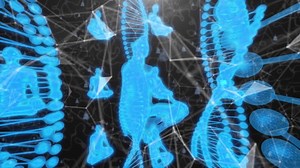 Dna 人間 生物学 - Free video on Pixabay