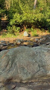 Les salió Gualla 😂#humor #videogracioso | Josue Cardona