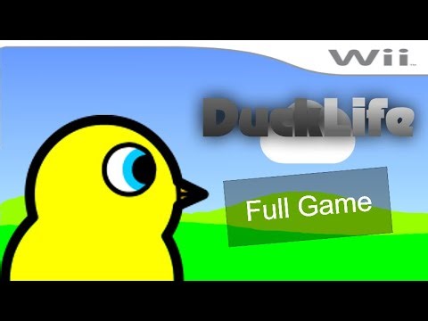Duck Life 1 but it's on the Wii