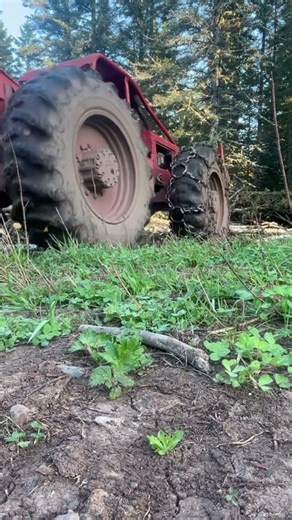 353 Detroit powered Timberjack skidder #skidder #detroitdiesel ##shortvideo