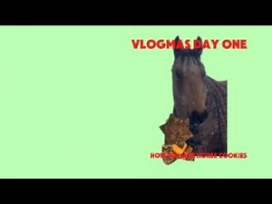 homemade holiday treats for Jack | vlogmas day one |