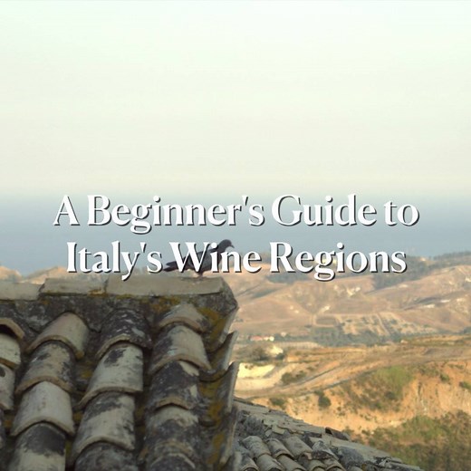 94K views · 403 reactions | With more than 350 official wine...