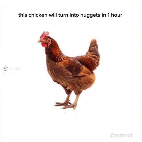 1 Hour Chicken Nuggets Relaxing Loop